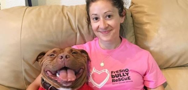 Meaty rescue dog